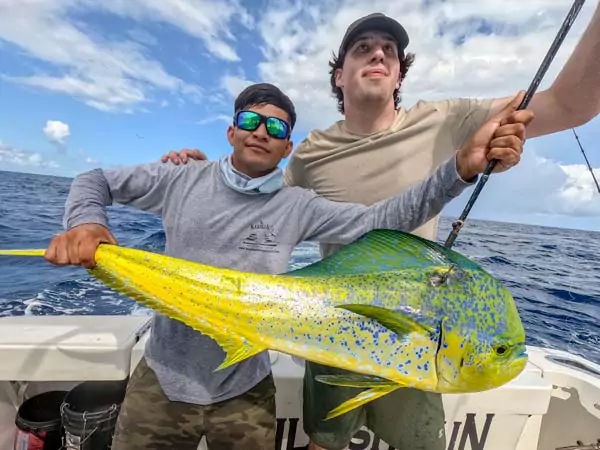 *Mahi-mahi fishing charters <br>*Daily mahi-mahi fishing report for cancun and isla mujeres