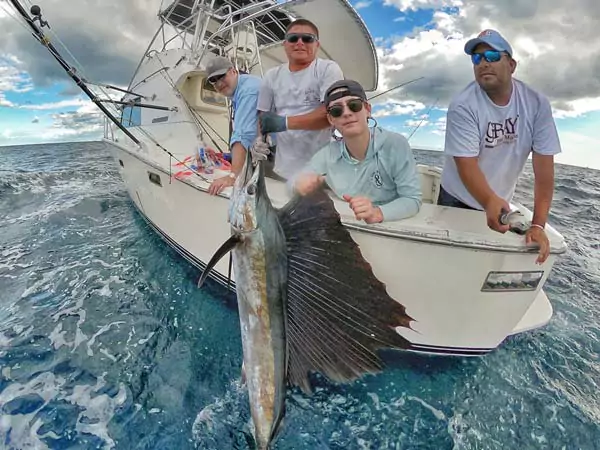 *Sailfish fishing charters <br> *Daily sailfishing report for cancun and isla mujeres