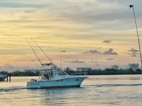 * The Sailfish 38' - Up to 8 Guests Max. <br>*Rates starting at $810.00 US