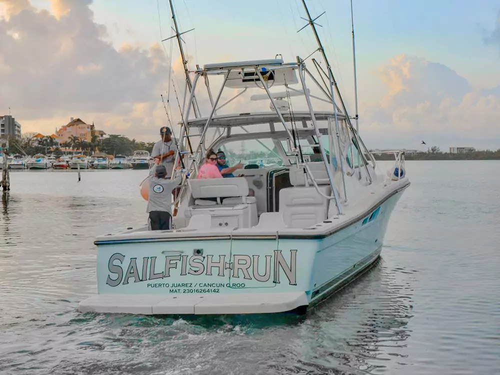 the sailfish run - Cancun fishing report- deep sea sportfishing report isla Mujeres.