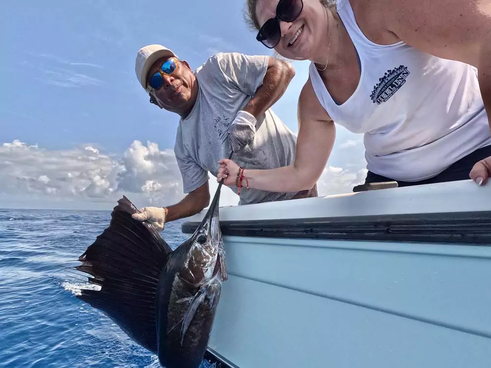 sailfish run sportfishing report cancun