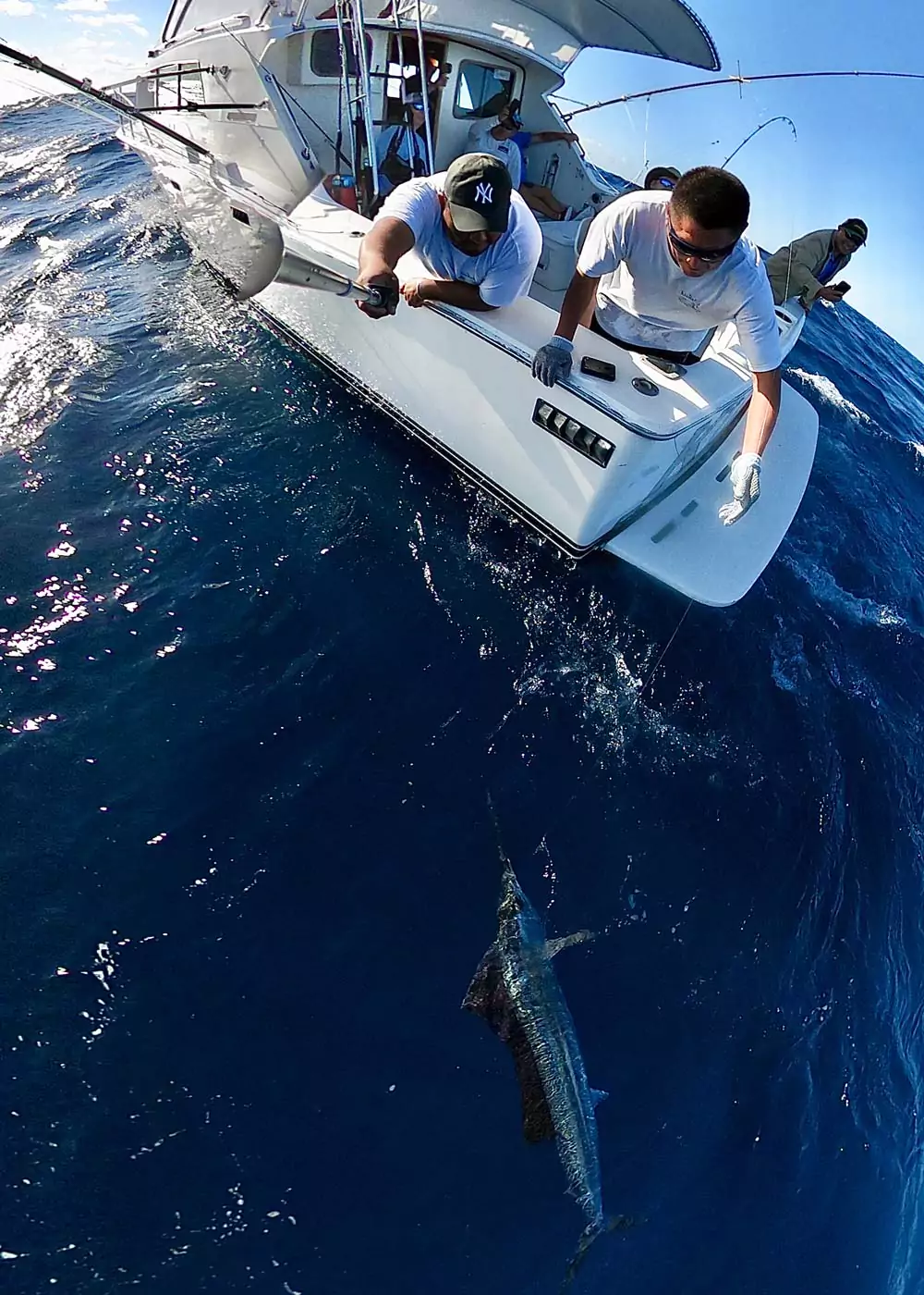 assets/img/gallery/selfie/ailfih onboard the billfish- fishing charter report.