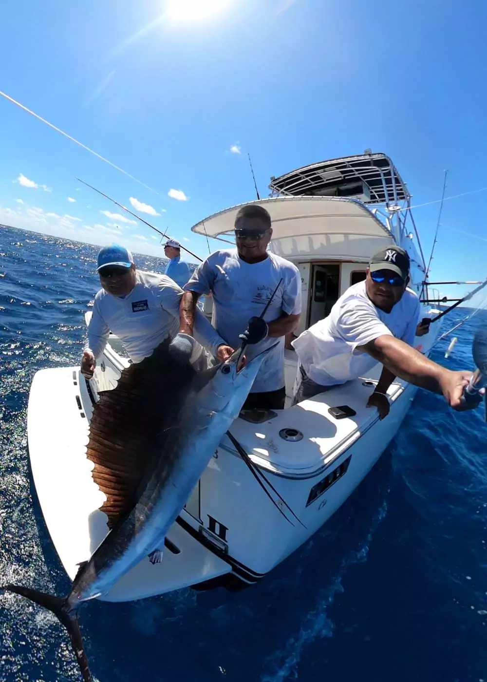 billfish boat- fishing season report cancun 