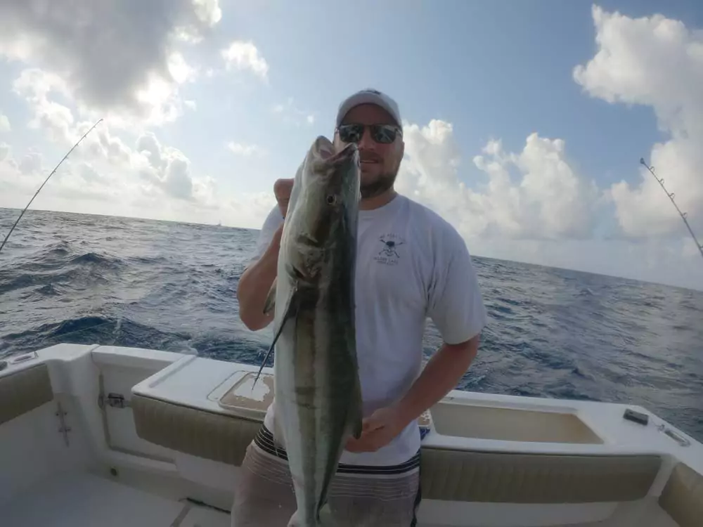 cobia fishing report showtime