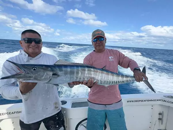 *Wahoo fishing charters <br>*Daily wahoo fishing report for cancun and isla mujeres